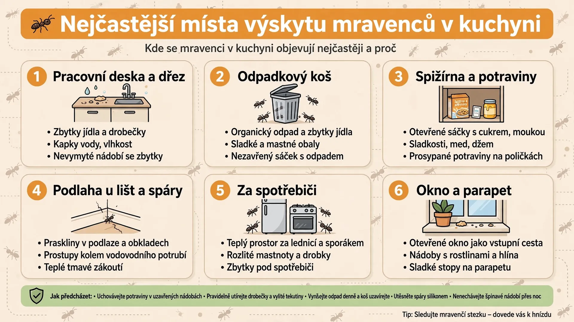 Nejčastější místa výskytu mravenců v kuchyni a důvody jejich přítomnosti